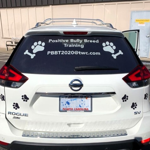 Window Graphics